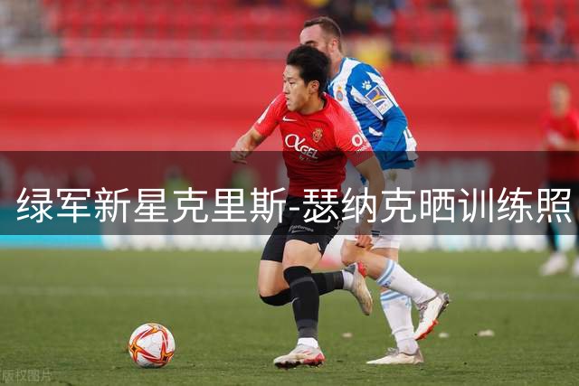 绿军新星克里斯-瑟纳克晒训练照 夏季联赛展现顶级护框能力